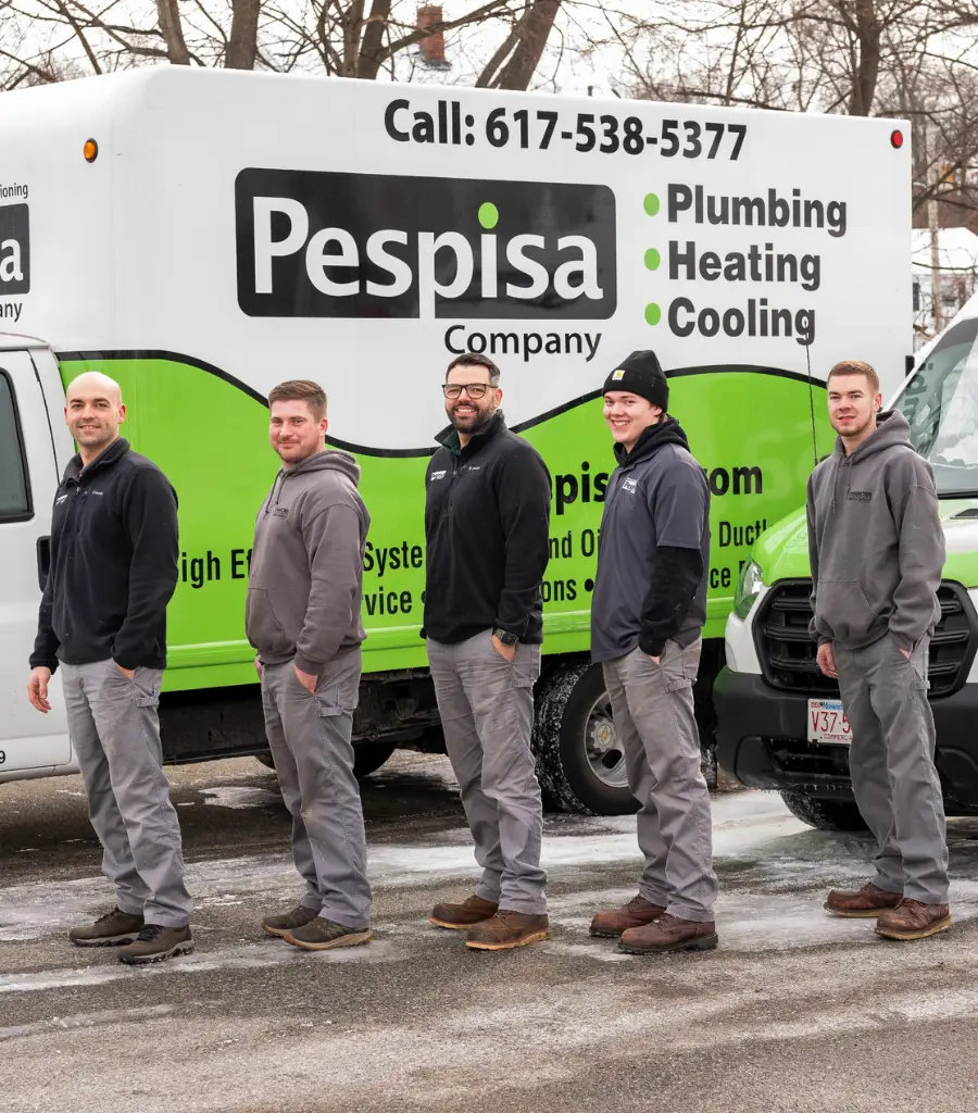 pespisa team
